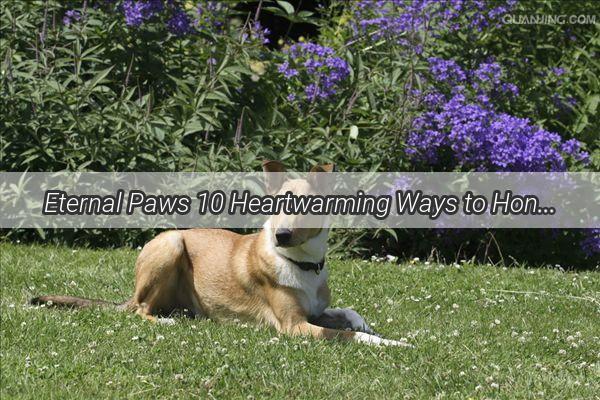 Eternal Paws 10 Heartwarming Ways to Honor Your Beloved Canine Companion